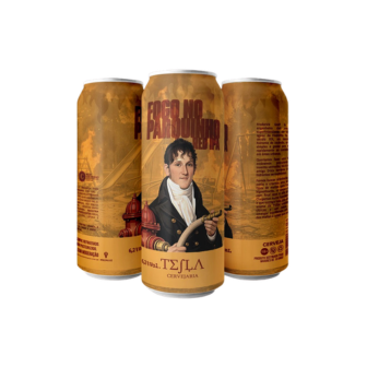 Tesla FOGO NO PARQUINHO